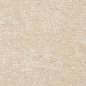 Charlotte Fabric 10150-17