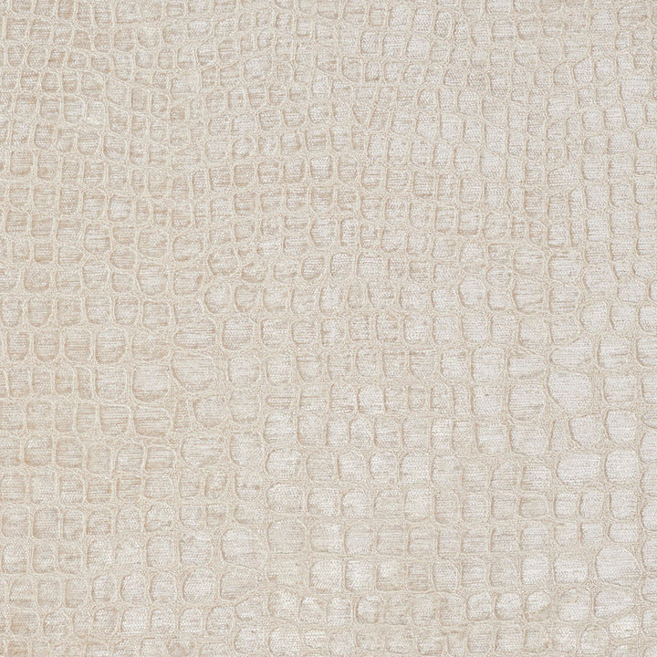 10151-02 by Charlotte Designer Fabric Gemstones 100% Woven Polyester Velvet Asia Exceeds 120,000 Wyzenbeek Rubs (Heavy Duty) No Repeat 54 Inches - Swanky Fabrics -