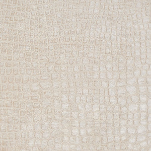 Charlotte Fabric 10151-02