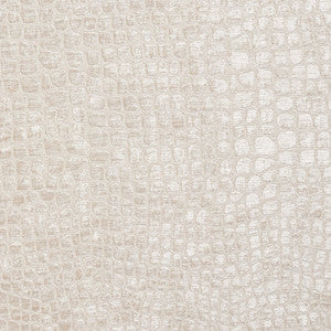 Charlotte Fabric 10151-05