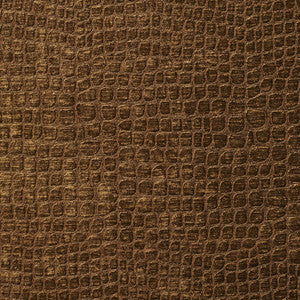 Charlotte Fabric 10151-10