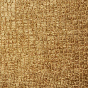 Charlotte Fabric 10151-13