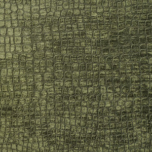 Charlotte Fabric 10151-16