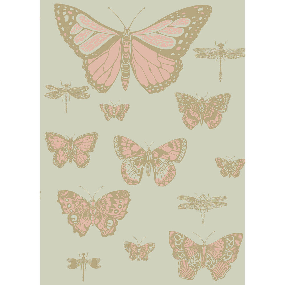 Butterflies & Dragonflies Pink On Oliv by Cole & Son Wallcovering Cole & Son Wallcovering Butterflies & Dragonflies Pink On OlivWallcovering COLE & SON WHIMSICAL PAPER - 100% United Kingdom </p><p>Repeat: H: , V: 28.3 20.5 - Fabric Carolina -
