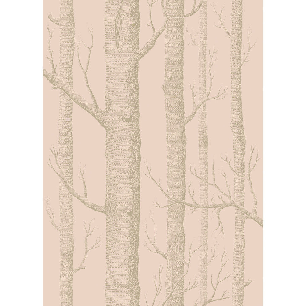 Woods Pink/Gilver by Cole & Son Wallcovering Cole & Son Wallcovering Woods Pink/GilverWallcovering COLE & SON WHIMSICAL PAPER - 100% United Kingdom </p><p>Repeat: H: , V: 28.3 20.5 - Fabric Carolina -