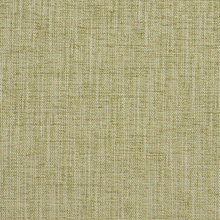 10430-01 by Charlotte Designer Fabric Modern Textures 100% Woven Polyester Asia Exceeds 90,000 Wyzenbeek Rubs (Heavy Duty) </p><p>Repeat: No Repeat 54 Inches - Swanky Fabrics -