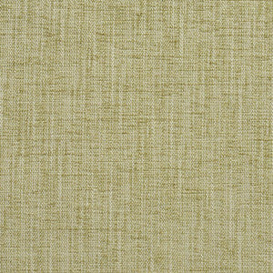 Charlotte Fabric 10430-01