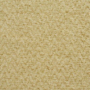 Charlotte Fabric 10450-01