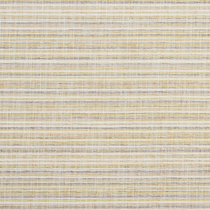 10460-01 by Charlotte Designer Fabric Modern Textures 100% Woven Polyester Asia Exceeds 120,000 Wyzenbeek Rubs (Heavy Duty) </p><p>Repeat: Vertical: 9" 54 Inches - Swanky Fabrics -