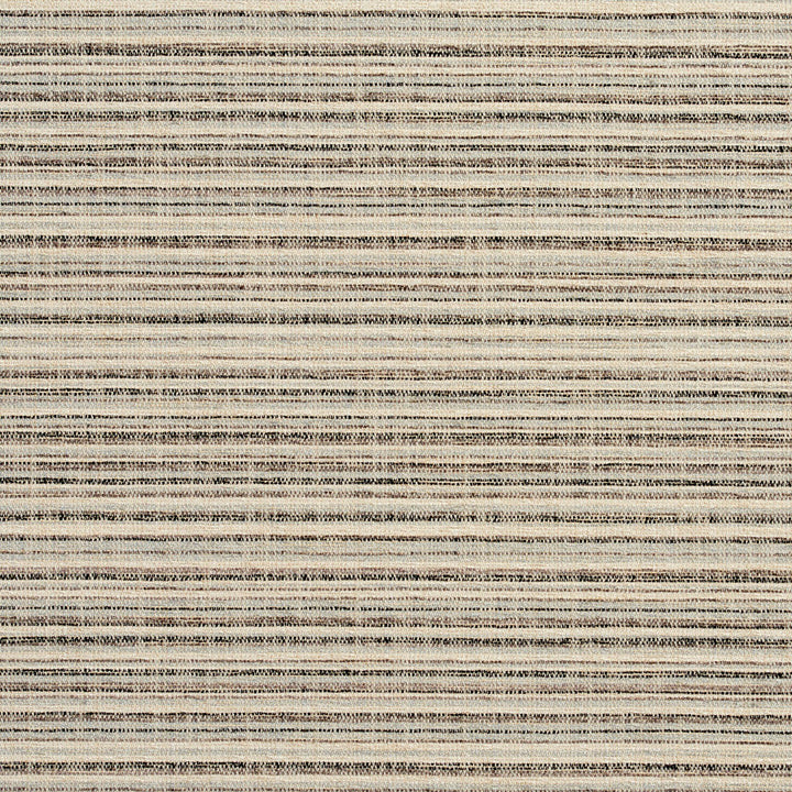 10460-06 by Charlotte Designer Fabric Modern Textures 100% Woven Polyester Asia Exceeds 120,000 Wyzenbeek Rubs (Heavy Duty) Vertical: 9" 54 Inches - Swanky Fabrics -