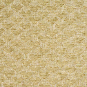 Charlotte Fabric 10470-01