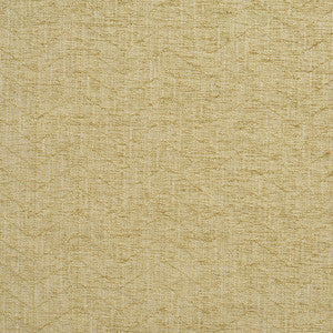 Charlotte Fabric 10480-01