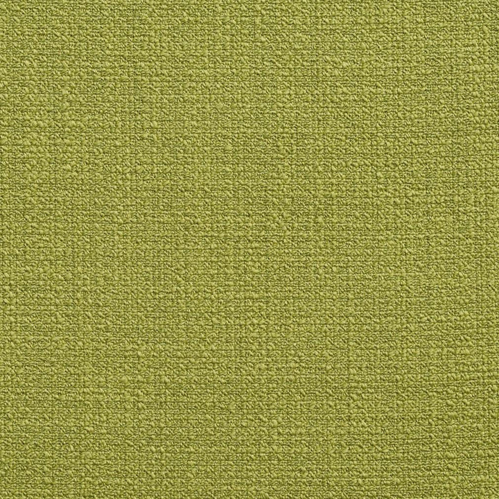 10530-07 by Charlotte Designer Fabric Vogue II 50% Polyester, 50% Acrylic Taiwan Exceeds 200,000 Wyzenbeek Rubs (Heavy Duty) No Repeat 54 Inches - Swanky Fabrics -