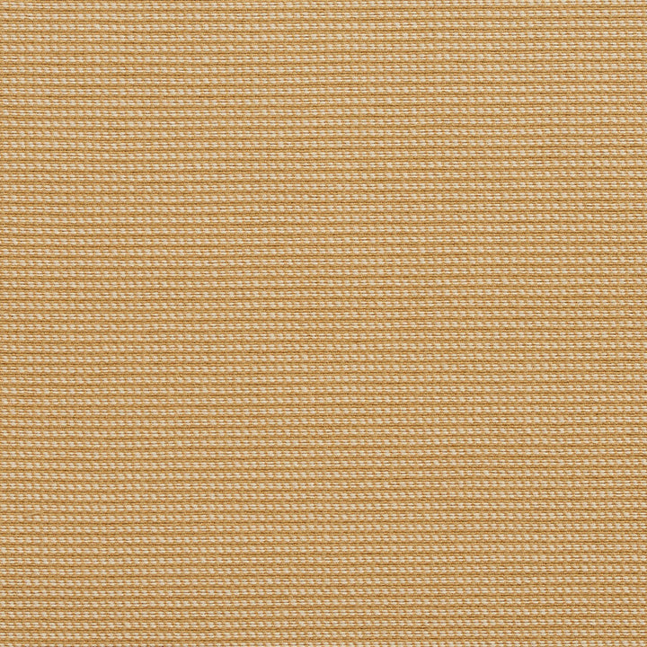 10600-01 by Charlotte Designer Fabric Outdoor/Indoor Wovens II Solution Dyed Acrylic, Outdoor Polyester Blend Made In USA Exceeds 50,000 Wyzenbeek Rubs (Heavy Duty) No Repeat 54 Inches - Swanky Fabrics -