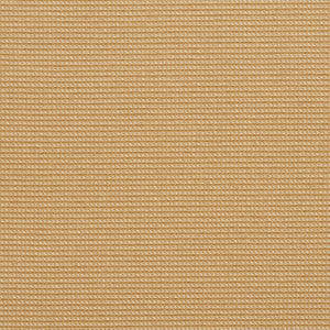 Charlotte Fabric 10600-01