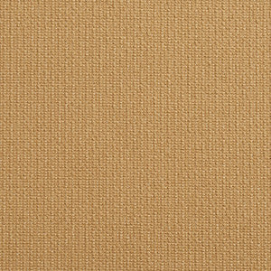 Charlotte Fabric 10670-01