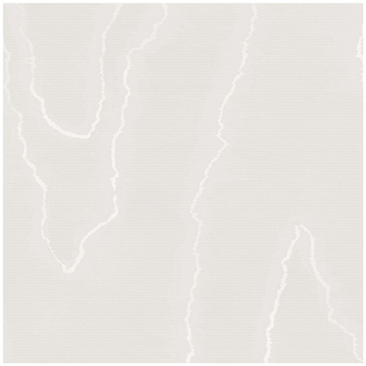 Watered Silk Silver by Cole & Son Designer Wallcovering COLE & SON LANDSCAPE PLAINS PAPER - 100% United Kingdom - Horizontal: 20.5 and Vertical: 24 20.5 - Swanky Fabrics -