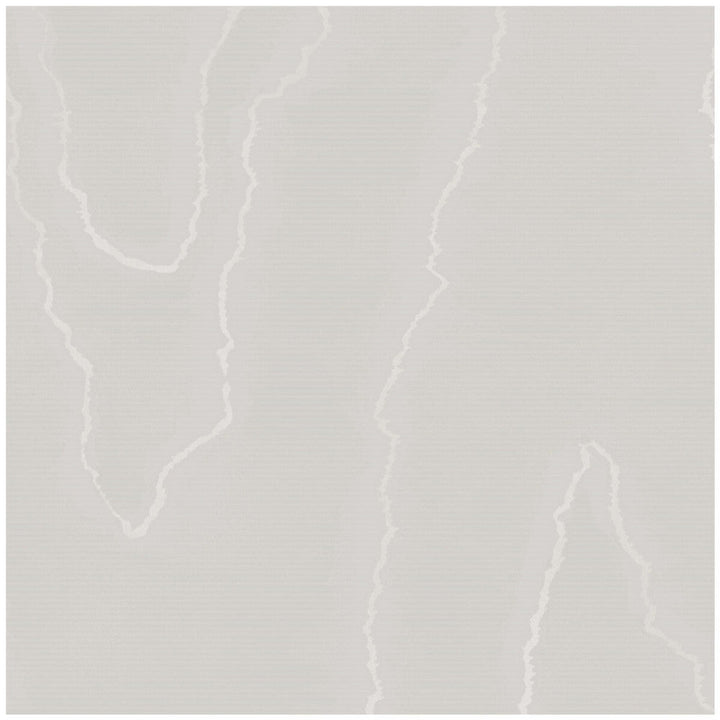Watered Silk Grey by Cole & Son Designer Wallcovering COLE & SON LANDSCAPE PLAINS PAPER - 100% United Kingdom Horizontal: and Vertical: 24 20.5 - Swanky Fabrics -