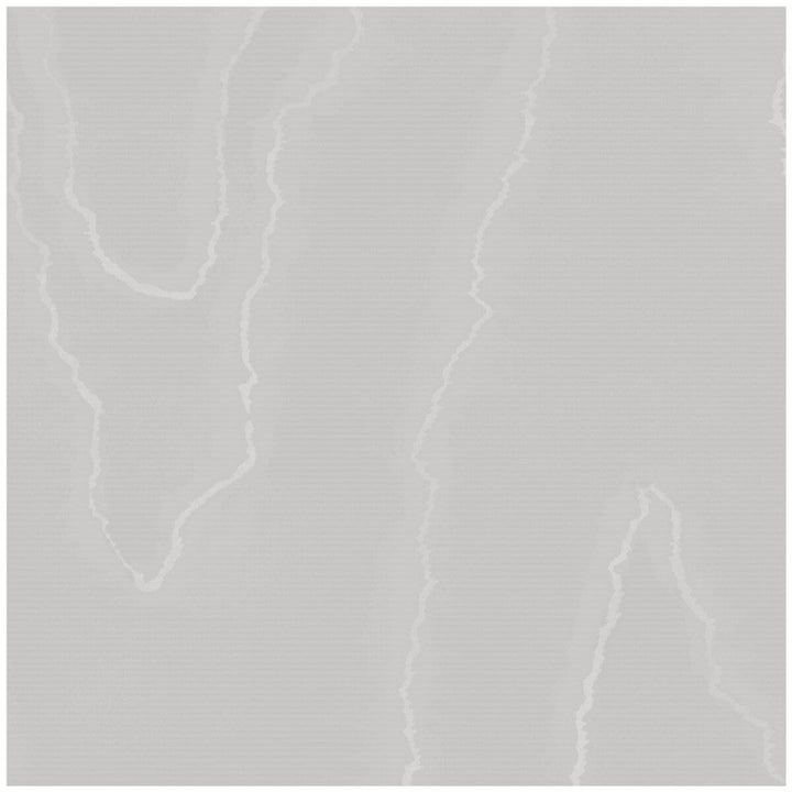 Watered Silk Cloud Grey by Cole & Son Wallcovering Cole & Son Wallcovering Watered Silk Cloud GreyWallcovering COLE & SON LANDSCAPE PLAINS PAPER - 100% United Kingdom </p><p>Repeat: H: , V: 24 20.5 - Fabric Carolina -