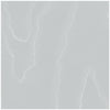 Cole & Son Wallpaper Watered Silk Ice Blue