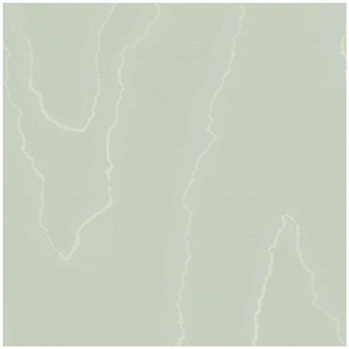 Watered Silk Duck Egg by Cole & Son Wallcovering Cole & Son Wallcovering Watered Silk Duck EggWallcovering COLE & SON LANDSCAPE PLAINS PAPER - 100% United Kingdom </p><p>Repeat: H: , V: 24 20.5 - Fabric Carolina -