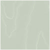 Cole & Son Wallpaper Watered Silk Duck Egg