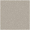 Cole & Son Wallpaper Pebble Mushroom