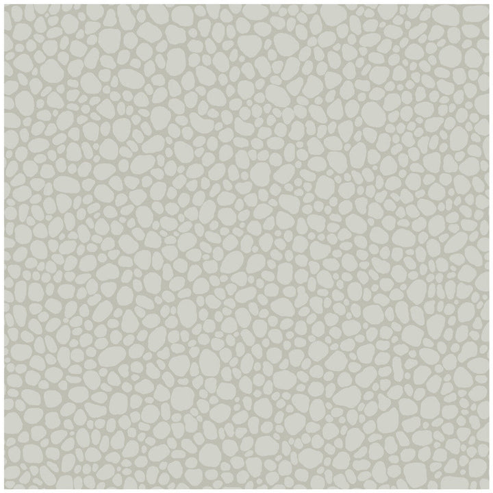 Pebble Pale Grey by Cole & Son Designer Wallcovering COLE & SON LANDSCAPE PLAINS PAPER - 100% United Kingdom - Horizontal: - and Vertical: 5.1 20.5 - Swanky Fabrics -