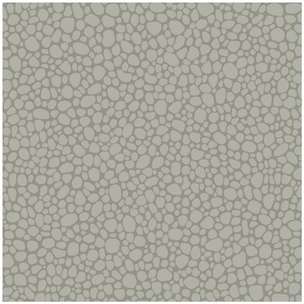 Pebble Grey by Cole & Son Wallcovering Cole & Son Wallcovering Pebble GreyWallcovering COLE & SON LANDSCAPE PLAINS PAPER - 100% United Kingdom </p><p>Repeat: H: , V: 5.1 20.5 - Fabric Carolina -