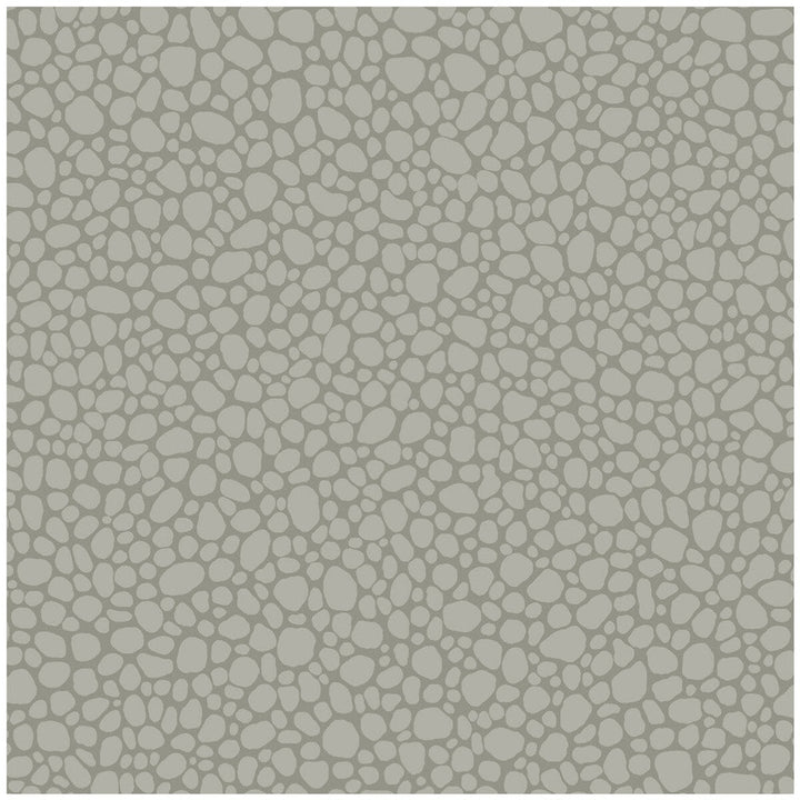 Pebble Grey by Cole & Son Wallcovering Cole & Son Wallcovering Pebble GreyWallcovering COLE & SON LANDSCAPE PLAINS PAPER - 100% United Kingdom </p><p>Repeat: H: , V: 5.1 20.5 - Fabric Carolina -