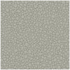 Cole & Son Wallpaper Pebble Grey