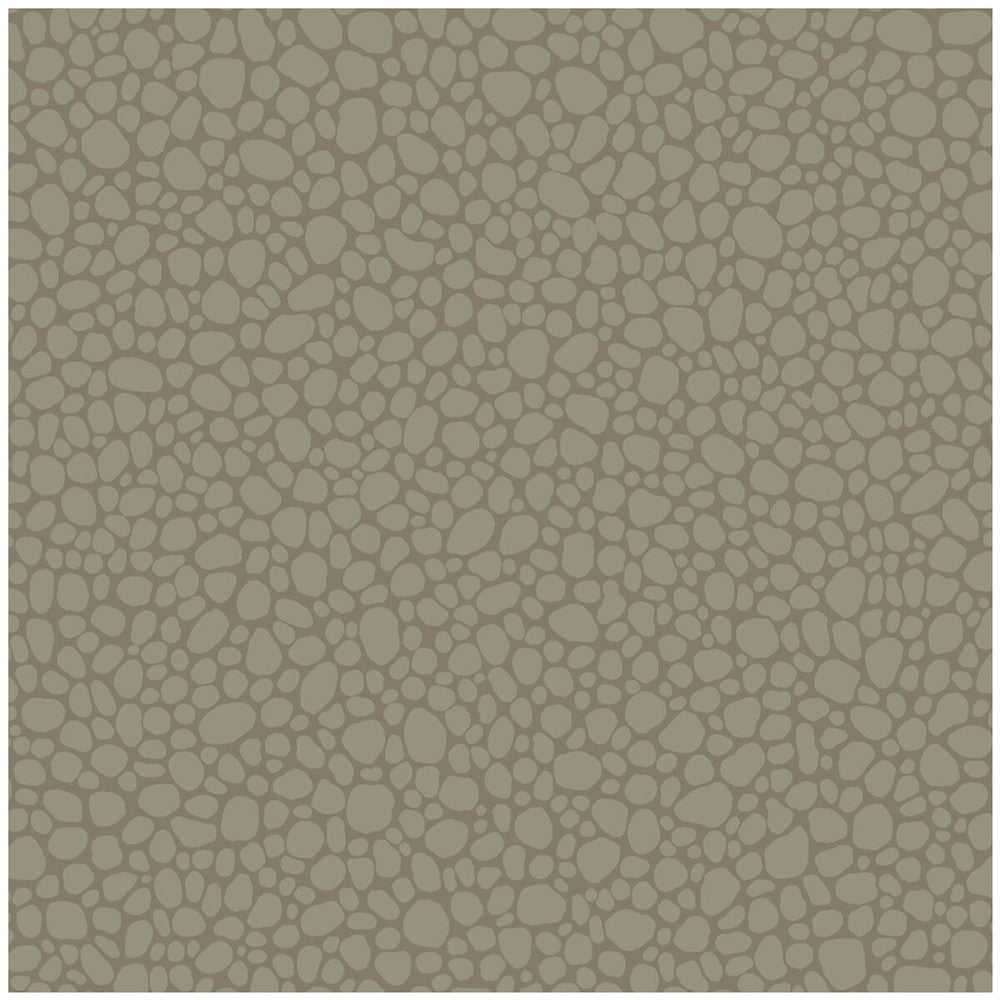 Pebble Dark Linen by Cole & Son Wallcovering Cole & Son Wallcovering Pebble Dark LinenWallcovering COLE & SON LANDSCAPE PLAINS PAPER - 100% United Kingdom </p><p>Repeat: H: , V: 5.1 20.5 - Fabric Carolina -