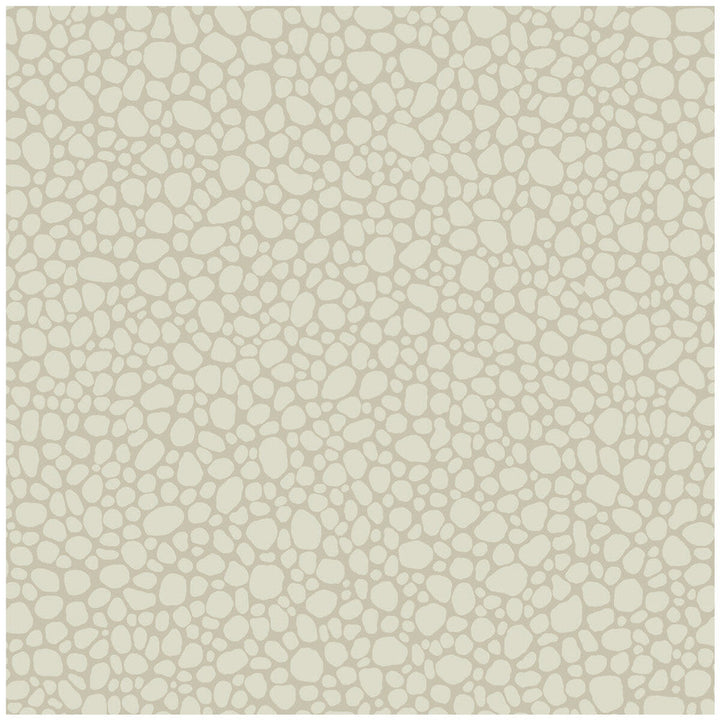 Pebble Stone by Cole & Son Designer Wallcovering COLE & SON LANDSCAPE PLAINS PAPER - 100% United Kingdom - Horizontal: - and Vertical: 5.1 20.5 - Swanky Fabrics -