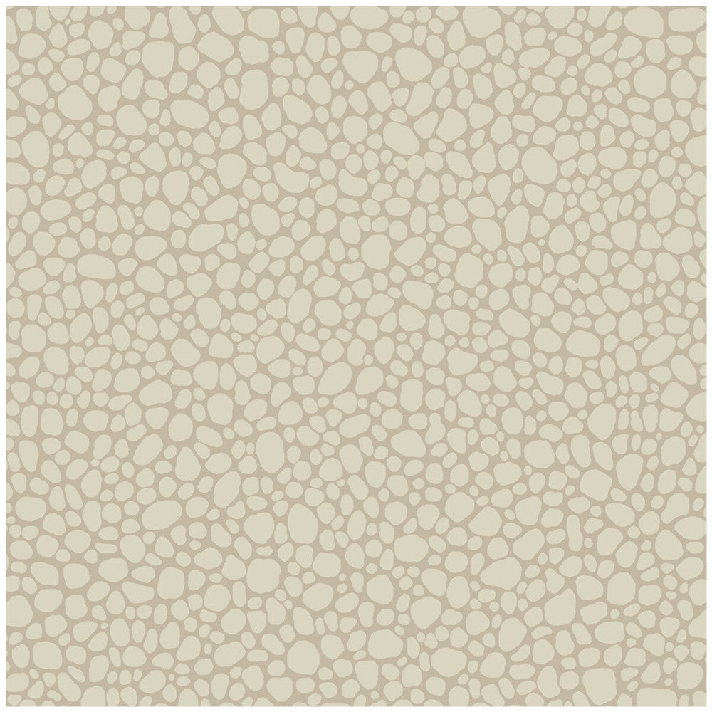 Pebble Parchment by Cole & Son Wallcovering Cole & Son Wallcovering Pebble ParchmentWallcovering COLE & SON LANDSCAPE PLAINS PAPER - 100% United Kingdom </p><p>Repeat: H: , V: 5.1 20.5 - Fabric Carolina -