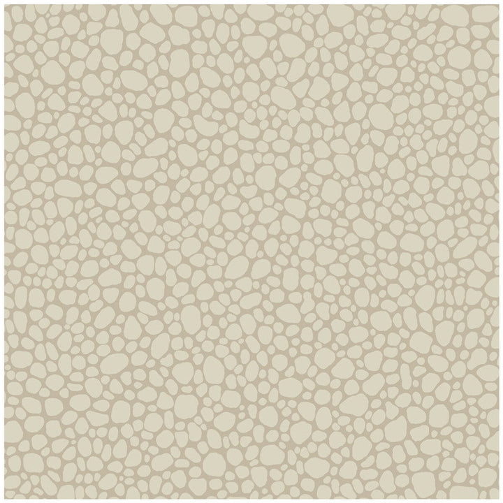 Pebble Parchment by Cole & Son Wallcovering Cole & Son Wallcovering Pebble ParchmentWallcovering COLE & SON LANDSCAPE PLAINS PAPER - 100% United Kingdom </p><p>Repeat: H: , V: 5.1 20.5 - Fabric Carolina -