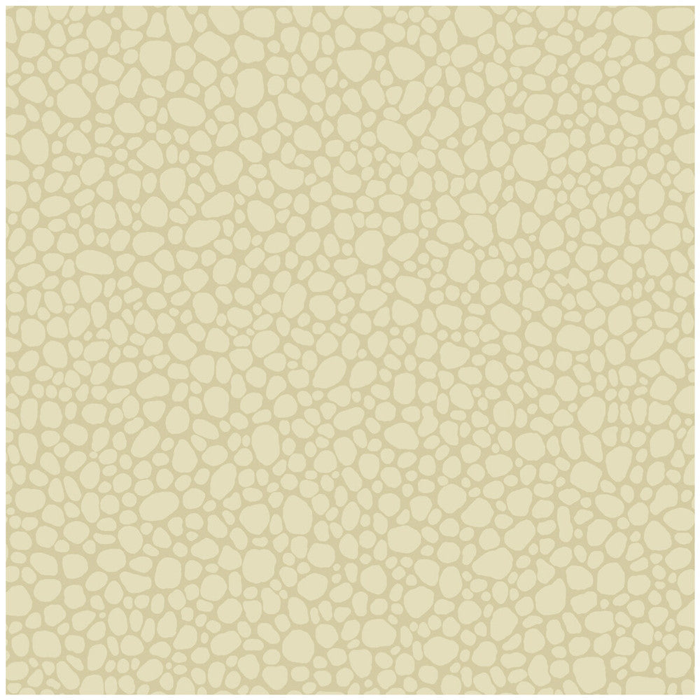 Pebble Cream by Cole & Son Designer Wallcovering COLE & SON LANDSCAPE PLAINS PAPER - 100% United Kingdom Horizontal: and Vertical: 5.1 20.5 - Swanky Fabrics -