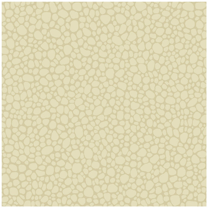 Pebble Cream by Cole & Son Designer Wallcovering COLE & SON LANDSCAPE PLAINS PAPER - 100% United Kingdom Horizontal: and Vertical: 5.1 20.5 - Swanky Fabrics -