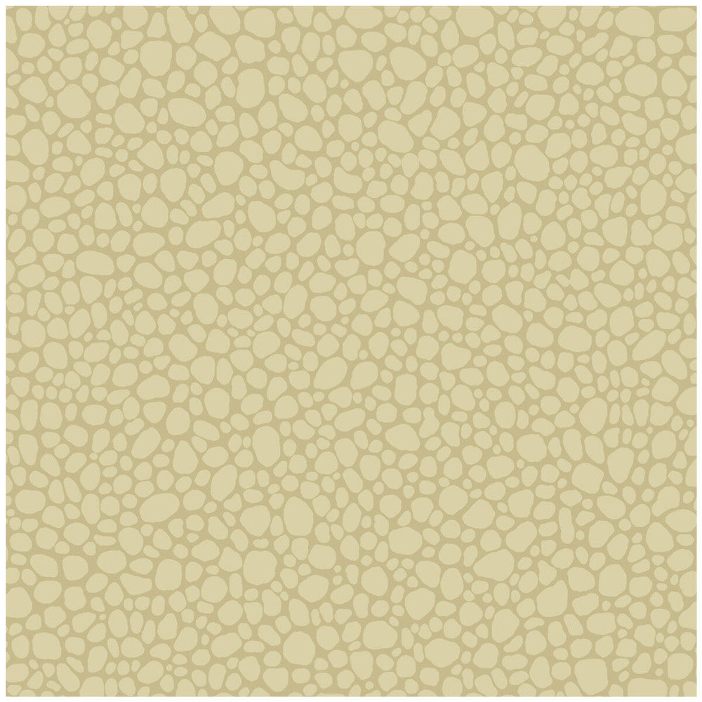 Pebble Latte by Cole & Son Designer Wallcovering COLE & SON LANDSCAPE PLAINS PAPER - 100% United Kingdom Horizontal: and Vertical: 5.1 20.5 - Swanky Fabrics -
