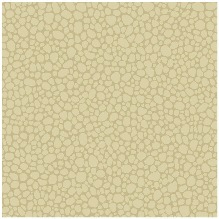 Pebble Latte by Cole & Son Designer Wallcovering COLE & SON LANDSCAPE PLAINS PAPER - 100% United Kingdom Horizontal: and Vertical: 5.1 20.5 - Swanky Fabrics -