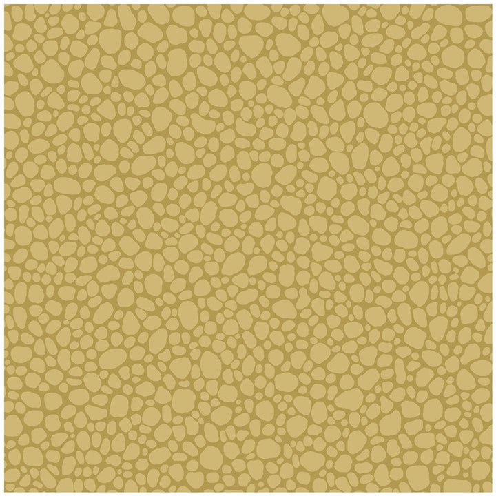 Pebble Sand by Cole & Son Wallcovering Cole & Son Wallcovering Pebble SandWallcovering COLE & SON LANDSCAPE PLAINS PAPER - 100% United Kingdom </p><p>Repeat: H: , V: 5.1 20.5 - Fabric Carolina -