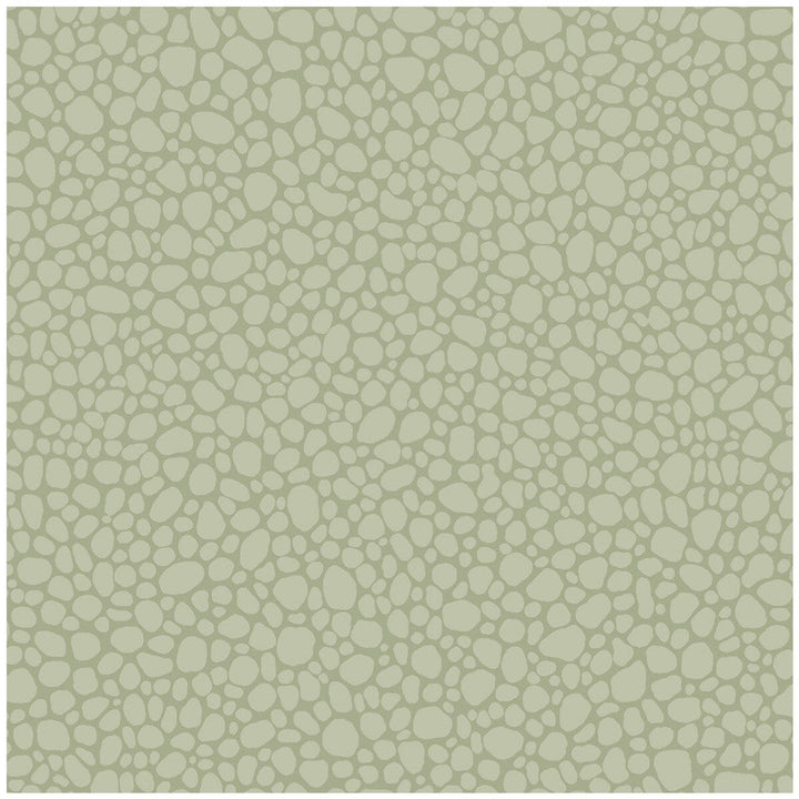 Pebble Sage by Cole & Son Designer Wallcovering COLE & SON LANDSCAPE PLAINS PAPER - 100% United Kingdom - Horizontal: - and Vertical: 5.1 20.5 - Swanky Fabrics -