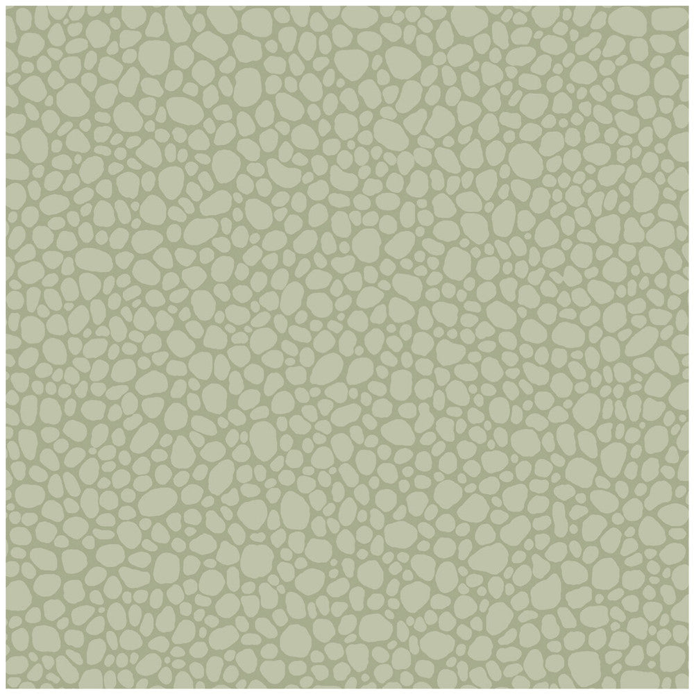Pebble Sage by Cole & Son Designer Wallcovering COLE & SON LANDSCAPE PLAINS PAPER - 100% United Kingdom Horizontal: and Vertical: 5.1 20.5 - Swanky Fabrics -