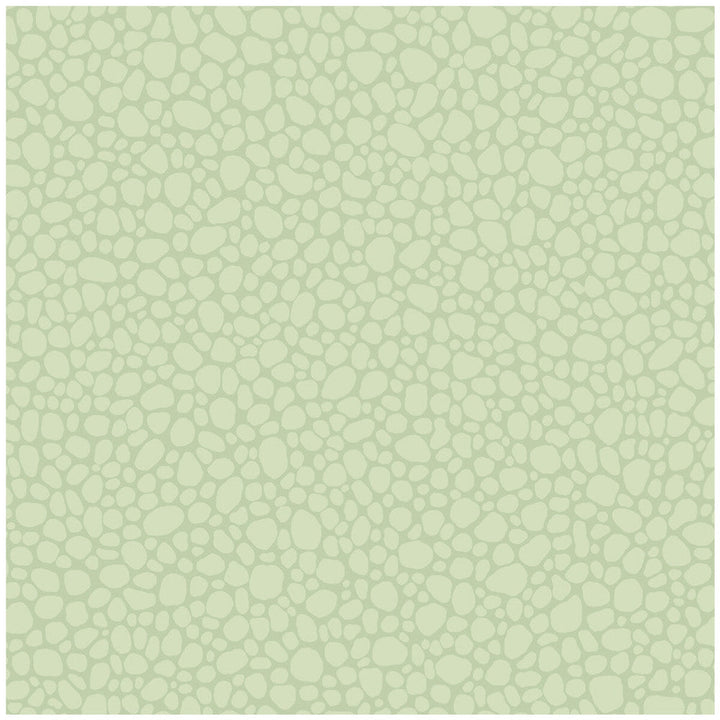 Pebble Duck Egg by Cole & Son Designer Wallcovering COLE & SON LANDSCAPE PLAINS PAPER - 100% United Kingdom - Horizontal: - and Vertical: 5.1 20.5 - Swanky Fabrics -