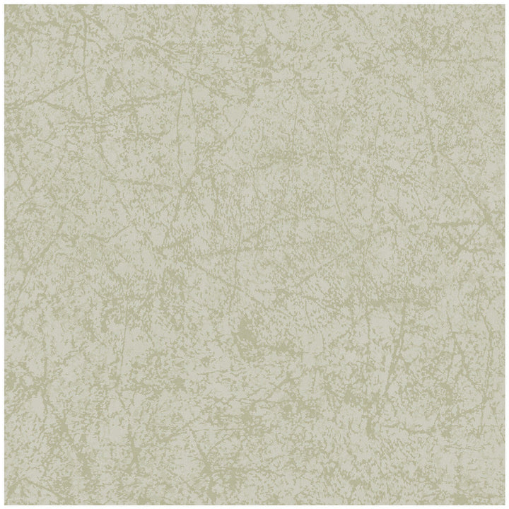 Cordovan Old Olive by Cole & Son Designer Wallcovering COLE & SON LANDSCAPE PLAINS PAPER - 100% United Kingdom Horizontal: and Vertical: 20.5 20.5 - Swanky Fabrics -