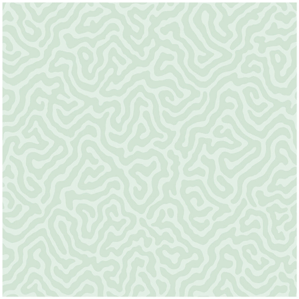 Coral Duck Egg by Cole & Son Wallcovering Cole & Son Wallcovering Coral Duck EggWallcovering COLE & SON LANDSCAPE PLAINS PAPER - 100% United Kingdom </p><p>Repeat: H: , V: 4.2 20.5 - Fabric Carolina -