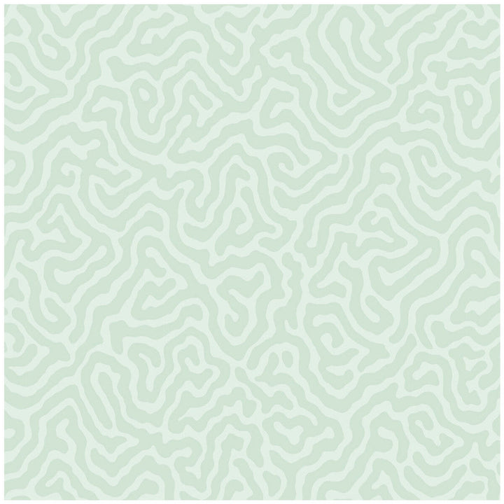 Coral Duck Egg by Cole & Son Wallcovering Cole & Son Wallcovering Coral Duck EggWallcovering COLE & SON LANDSCAPE PLAINS PAPER - 100% United Kingdom </p><p>Repeat: H: , V: 4.2 20.5 - Fabric Carolina -