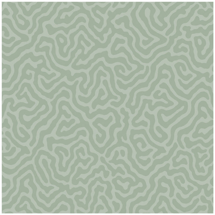 Coral Sage by Cole & Son Designer Wallcovering COLE & SON LANDSCAPE PLAINS PAPER - 100% United Kingdom Horizontal: and Vertical: 4.2 20.5 - Swanky Fabrics -