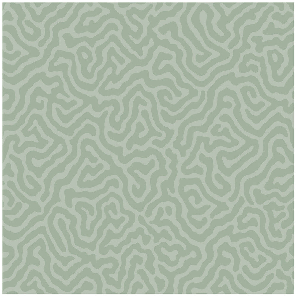 Coral Sage by Cole & Son Wallcovering Cole & Son Wallcovering Coral SageWallcovering COLE & SON LANDSCAPE PLAINS PAPER - 100% United Kingdom </p><p>Repeat: H: , V: 4.2 20.5 - Fabric Carolina -