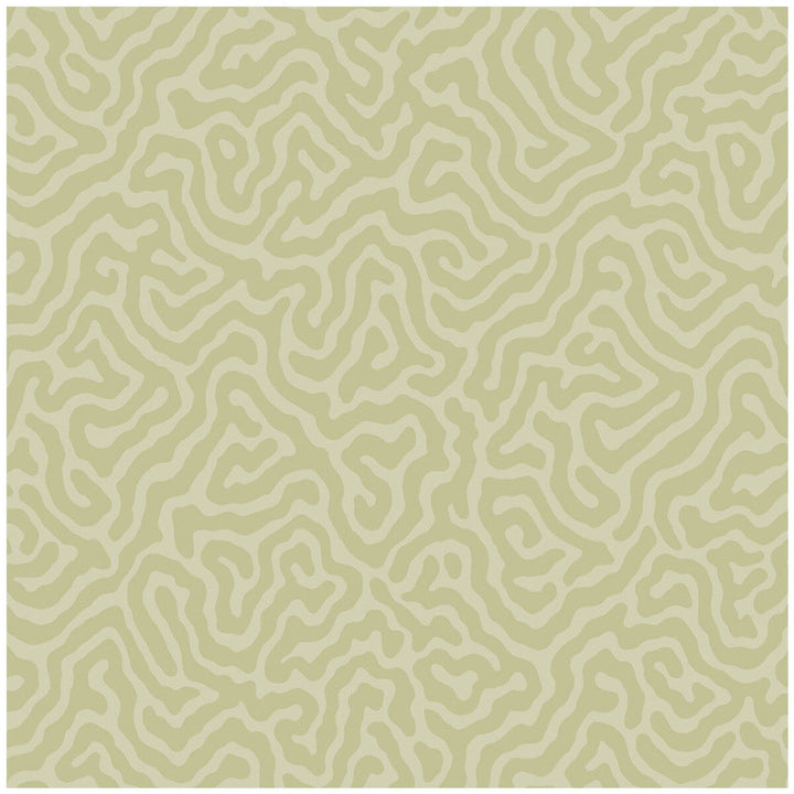 Coral Old Olive by Cole & Son Designer Wallcovering COLE & SON LANDSCAPE PLAINS PAPER - 100% United Kingdom Horizontal: and Vertical: 4.2 20.5 - Swanky Fabrics -