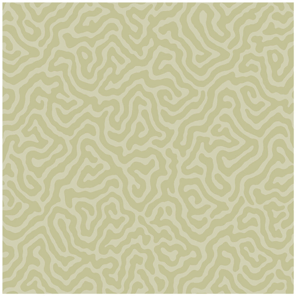 Coral Old Olive by Cole & Son Wallcovering Cole & Son Wallcovering Coral Old OliveWallcovering COLE & SON LANDSCAPE PLAINS PAPER - 100% United Kingdom </p><p>Repeat: H: , V: 4.2 20.5 - Fabric Carolina -